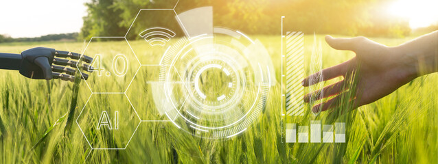 Autocollant -  A robot hand and a man's hand touches wheat in the field. Concept of the future agriculture. Smart farming and digital agriculture 4.0