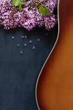 Acoustic Guitar And Lilac Branch On Dark Gray Background. Top View, Close Up, Copy Space.