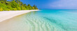 Tranquil beach scene. Sunny exotic tropical beach landscape. Design of summer vacation holiday concept. Luxury travel destination, idyllic nature scenery with palm tree, ocean sea horizon. Inspire