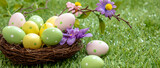Fototapeta Tulipany - Happy Easter. Pastel colored eggs in a nest on green grass, close up view