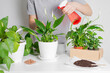 © Kira - Woman taking care of plants. Spring flower transplantation, fertilization, watering on light background. Home gardening. Create green natural, eco atmosphere interior at home. Scandinavian style.