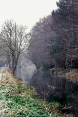 Quaint Foggy Steamy Canal at Sunrise, Kildare, Ireland