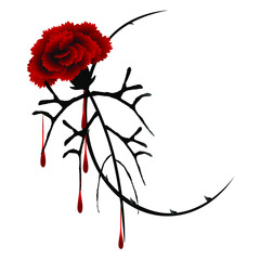 Canvas Print - A dark red carnation flower with thorns and blood drops, design element.
