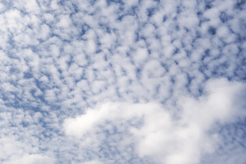 Wall Mural - blue sky with beautiful white clouds with different shapes