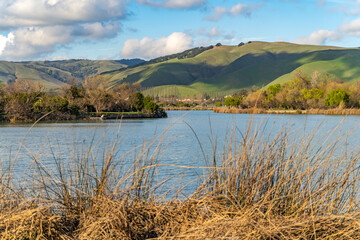 Sticker - View of Lake Elizabeth in Central Park, Fremont