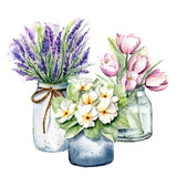 Fototapeta Lawenda - Spring flowers in pots, watercolor painting. Floral illustration isolated on white. Perfectly for stickers, poster, greeting design.
