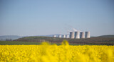 Fototapeta  - Nuclear or thermal power plant chimneys with a field of yellow rapeseed in front of them