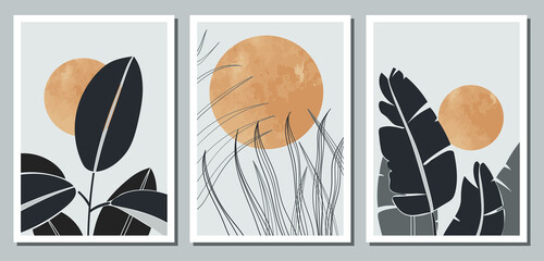 a set of three abstract minimalistic aesthetic floral illustrations. dark silhouettes of plants on a