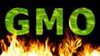 GMO - Schrift in Fleischtextur in Grün, lodernde Flammen im Vordergrund, Hintergrund schwarz, fleischlose Lebensmittel der Zukunft