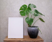 Mock Up Poster Wooden Frame  And Monstera Giant Botanical Tropical House Plant In Beautiful Concrete Pot Set On Wood Table In Modern Living Room Stylish With Loft Cement  Wall