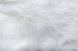White fur background texture. Fluffy rabbit fur