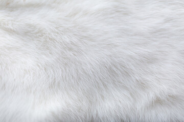 white fur background texture. fluffy rabbit fur