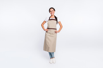 Sticker - Full size photo of optimistic nice brown hair lady stand wear t-shirt apron isolated on grey color background