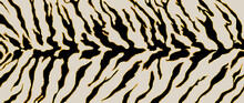 Luxury Gold Animal Skin Background Vector. Exotic Animal Skin With Golden Texture. Leopard Skin, Zebra And Tiger Skin Vector Illustration. 