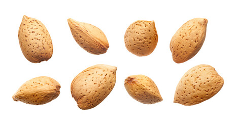 Wall Mural - Set of almonds nut in shell isolated on white background