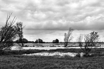 Sticker - Backwaters at the mouth of the River Warta