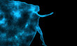 © Alrika  - Blue shining star universe in the shape of a woman's profile silhouette in full height on a black background. A woman comes out of space