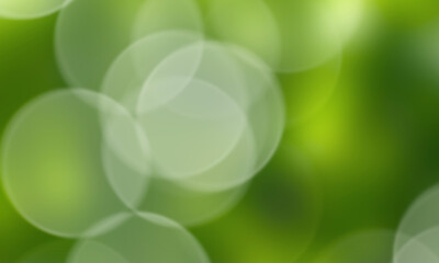 Wall Mural - Green bokeh background. Ecology concept.