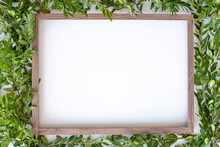 Top View : Wooden Frame With Empty Space And Light Green Leaves Background.