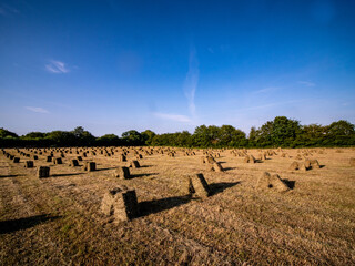 Wall Mural - hay bales in the field at sunset