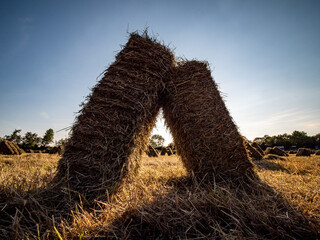 Wall Mural - hay bales in the field at sunset