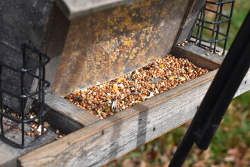 Wall Mural - Bird Feeder