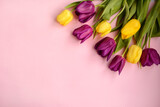 Fototapeta Tulipany - Yellow and lilac tulips on a pink background, copy space. Top view