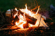 © Oleksii Syrotkin/Stocksy - Campfire with bright sparkles