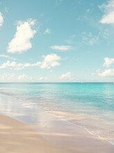A Beach In Barbados, Caribbean