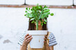 © Malquerida Studio/Stocksy - Young gardener woman holding in her hands a beautiful cactus