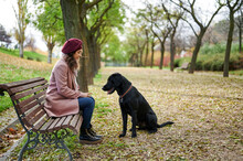 Woman With Obedient Dog In Autumn Park