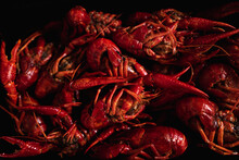 Cooked Crayfish