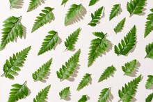 Green Leaves Pattern On White Background. Flat Lay.