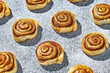 © Dima Sikorski/Stocksy - Many cinnamon rolls on a flour background. Bun Pattern