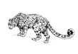 © Elena - snow leopard, irbis wild cats illustration