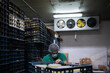 © Luis Velasco/Stocksy - Cold Room Store For Cheese In A Local Factory.