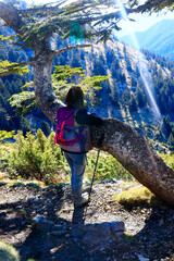 Poster - une femme regarde l'horizon en montagne lors d'une pause sur un arbre