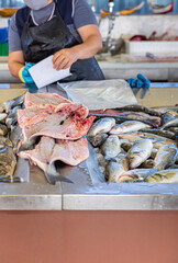 Fishing of different types of fresh fish