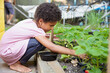 © absphotography/Stocksy - Pretty girl with short curly kinky hair picking strawberries from her backyard garden