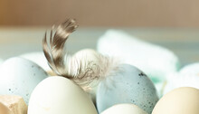 A Feather On Eggs In A Basket On A Light Wooden Background. Easter.