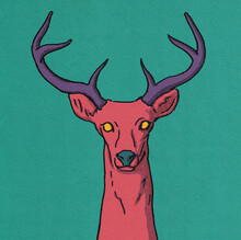 Pink And Purple Deer Illustration