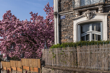 Wall Mural - Allassac (Corrèze, France) - Maison pittoresque au printemps - Avenue des ardoisières