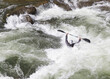 USA, North Carolina. White-water kayaking, Nantahala River, North Carolina