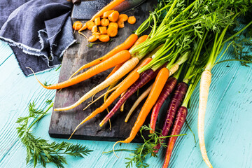 Bunch of freshly picked rainbow carrots 