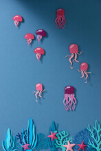 Beautiful Colorful Jellyfish In Aquarium