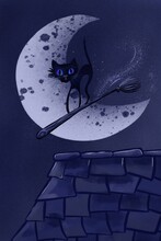 Cat On A Broomstick