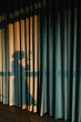 © ulas & merve/Stocksy - shadow of a woman on green velvet curtain