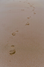 Foot Prints On The Sand