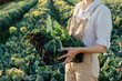 © Sergey Narevskih/Stocksy - Farmer carrying box with fresh greens in field