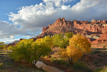 A Beautiful Autumn Scene In Capitol Reef National Park, Utah,  Of The Castle Rock Formation, Changing Cottonwood Trees, And The Fremont River